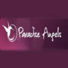 Paradise Angels Wemmel logo
